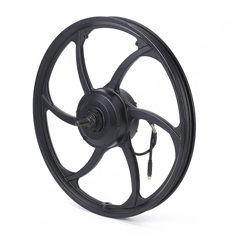 Hub motors Hub motors